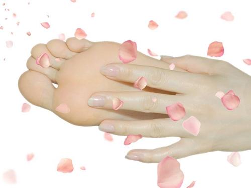 ˻ָô
